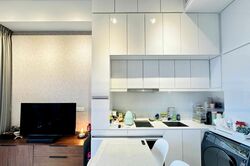 Spottiswoode Suites (D2), Apartment #461791511